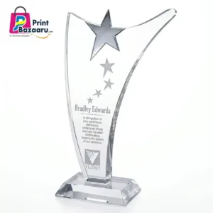 Acrylic Curve Trophy 7x5 Premium Memento Award for Corporate & Schools printbazaaru.com 4