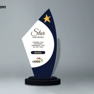 Acrylic Memento & Trophy