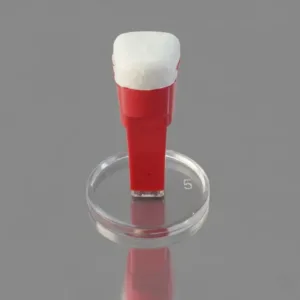Round & Oval Stamps - Traditional Stamps